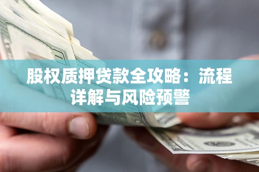 北京股权质押贷款全攻略：流程详解与风险预警