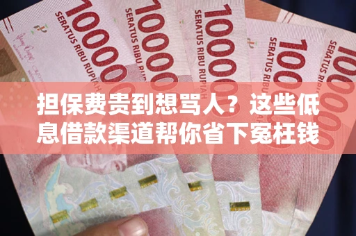 北京担保费贵到想骂人？这些低息借款渠道帮你省下冤枉钱