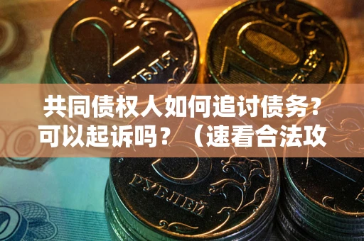 北京共同债权人如何追讨债务？可以起诉吗？（速看合法攻略）