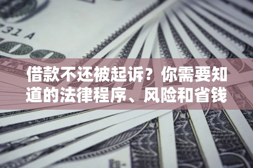 北京借款不还被起诉？你需要知道的法律程序、风险和省钱技巧