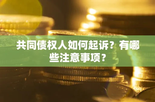 北京共同债权人如何起诉？有哪些注意事项？